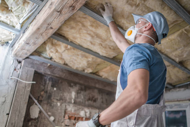 Best Energy Efficiency Insulation in Columbiana, AL